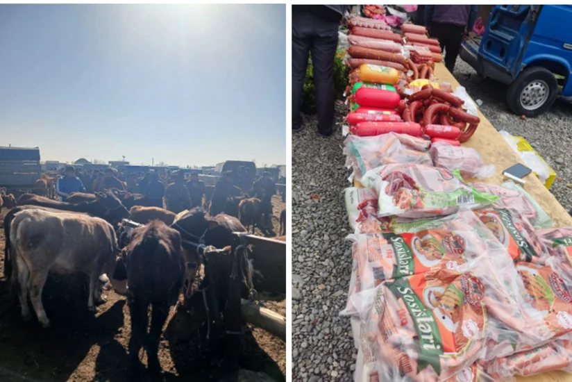Bərdədə heyvan satışı bazarında ciddi nöqsanlar aşkarlanıb