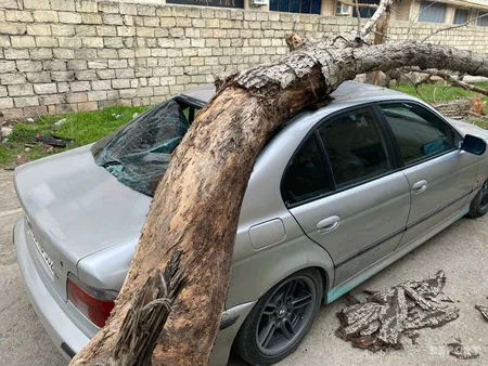 Bakıda xəstəxananın həyətində avtomobilin üzərinə ağac düşdü - FOTO - VİDEO