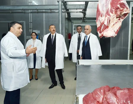 Prezident Abşeron rayonunda “Zəhmət-Ruzi” MMC-nin fəaliyyəti ilə tanış olub