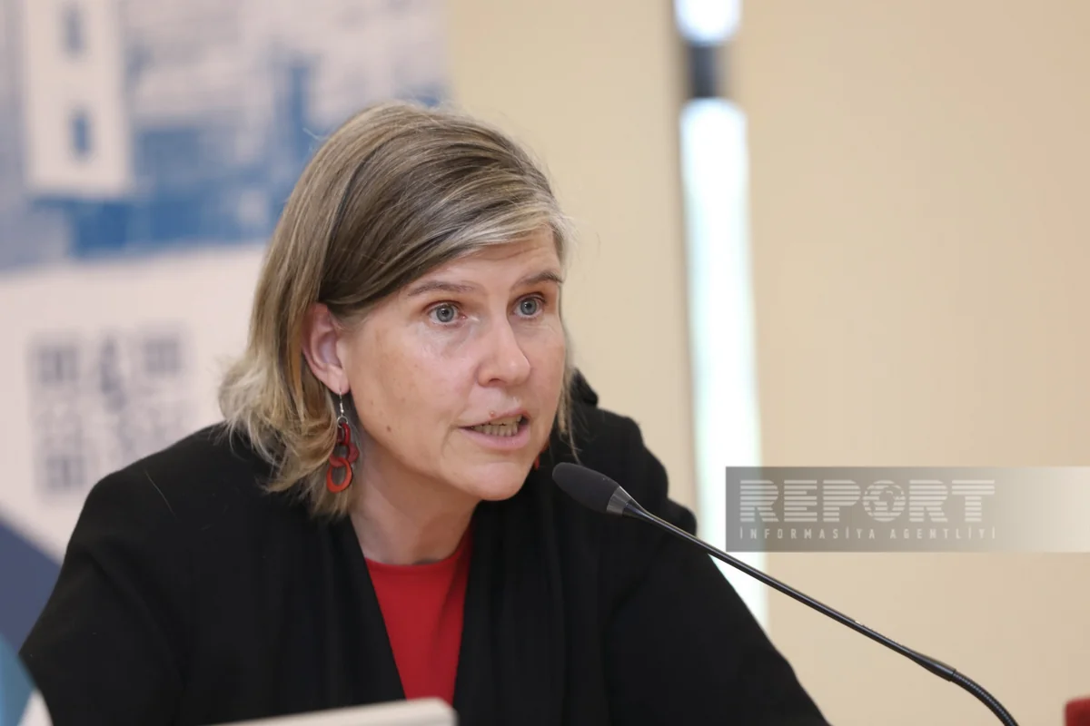 Netherlands ready to collaborate with Azerbaijan's COP29 Presidency