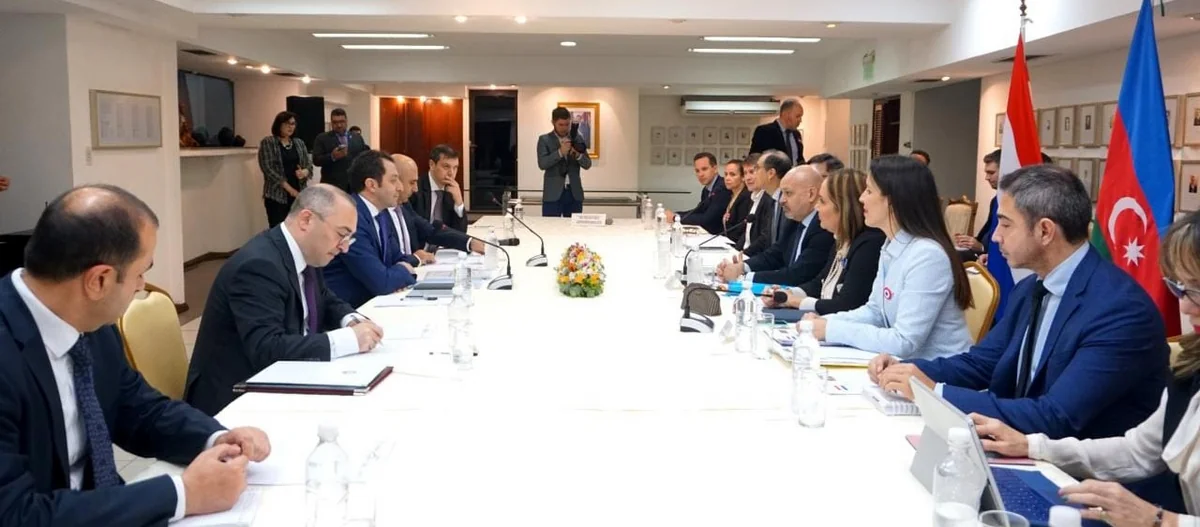 Azərbaycan və Paraqvay XİN-ləri arasında ilk dəfə siyasi məsləhətləşmələr keçirilib
