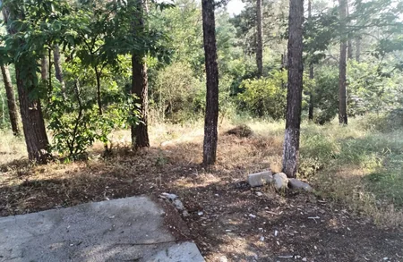 Ağsuda yanğın təhlükəli obyektin fəaliyyəti dayandırılıb