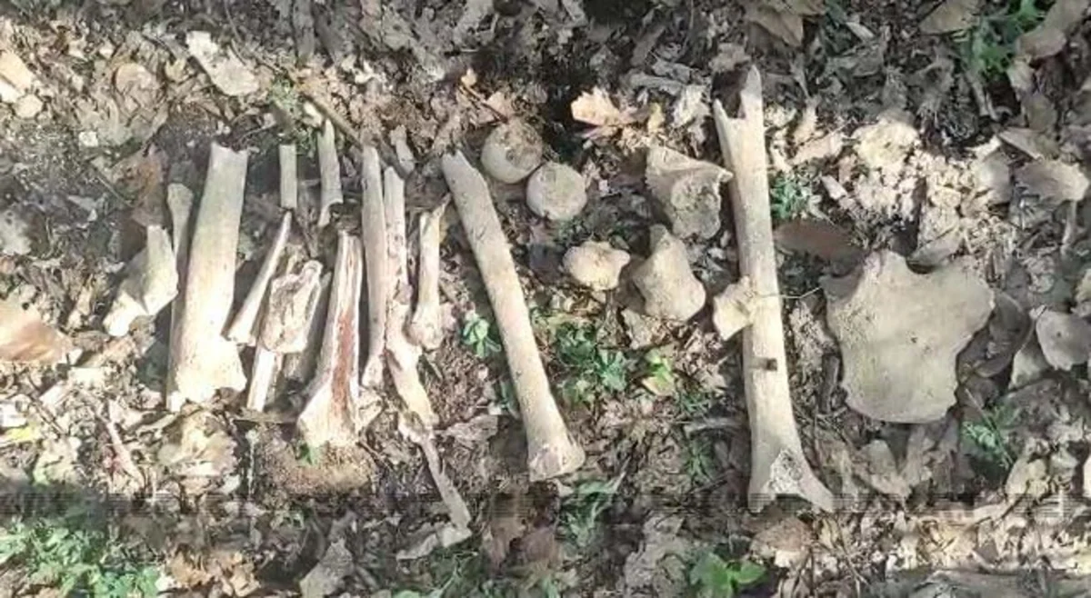 Fərrux kəndində daha bir neçə azərbaycanlının meyitinin qalıqları tapılıb