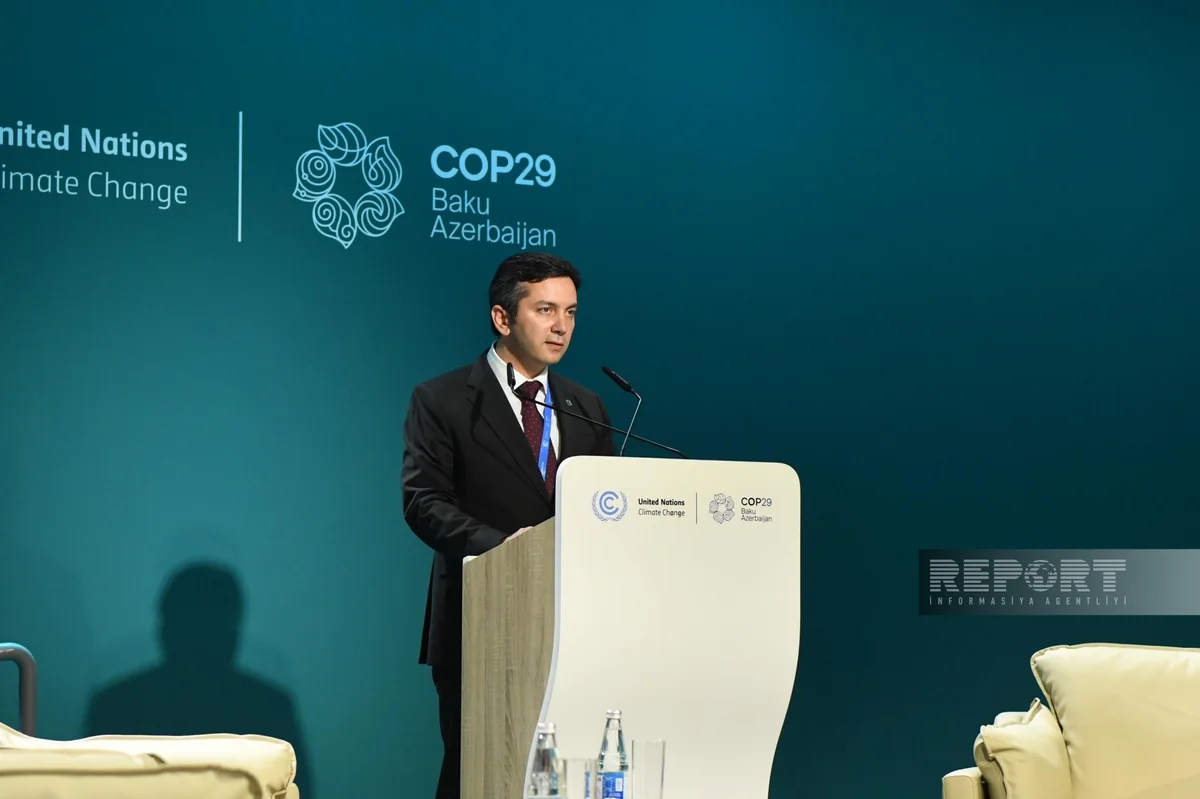 Yalchin Rafiyev: Creation of Football Clubs Alliance for Climate could be good example