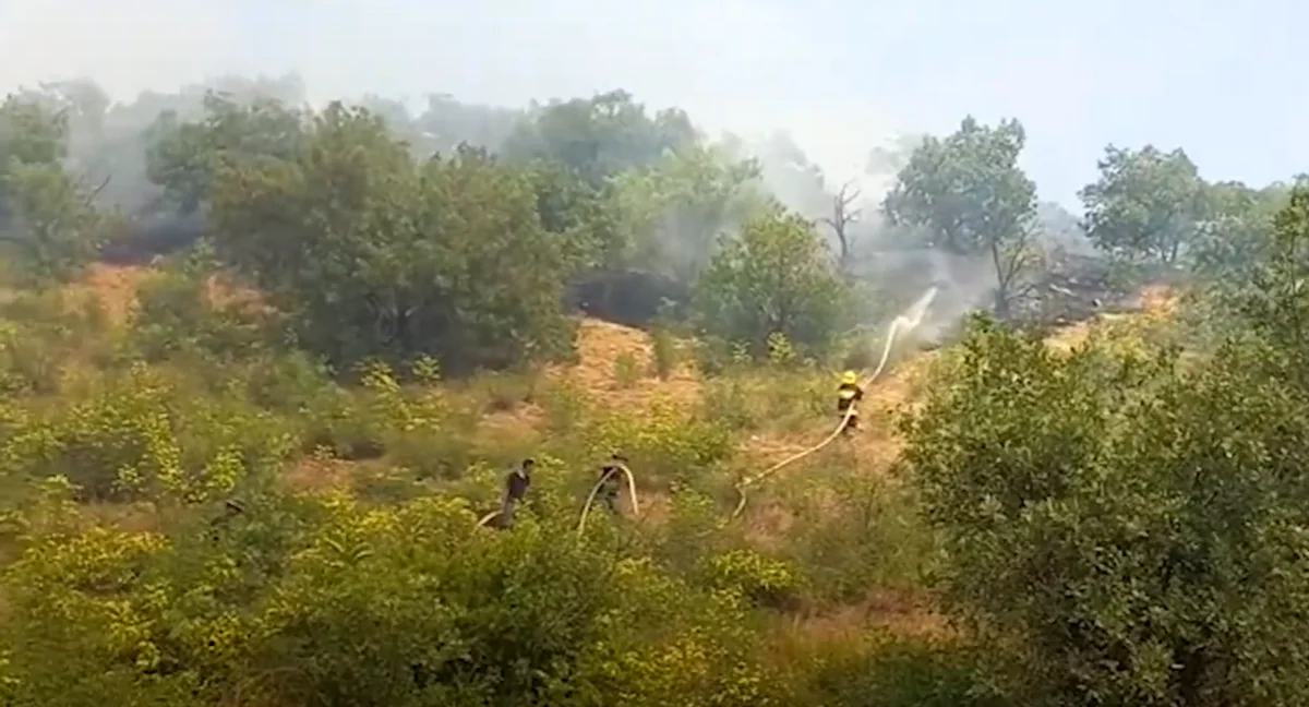 Zəngilanda ağaclıq ərazidəki yanğın söndürülüb - YENİLƏNİB