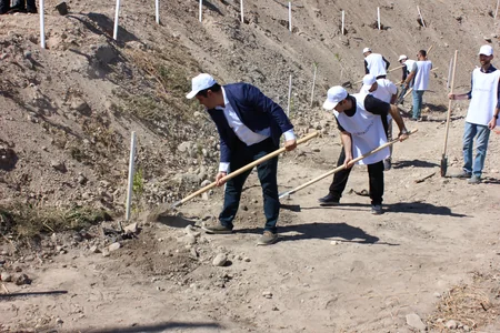 “Buta Supply şirkətinin təşəbbüsü ilə Zəngilan rayonunda 3000-ə yaxın ağac əkilib