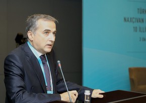 Fərid Şəfiyev Gürcüstanda Naxçıvan dəhlizi ilə bağlı narahatlıqlara münasibət bildirib