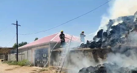 Şərurda həyətyanı sahədə yanğın olub