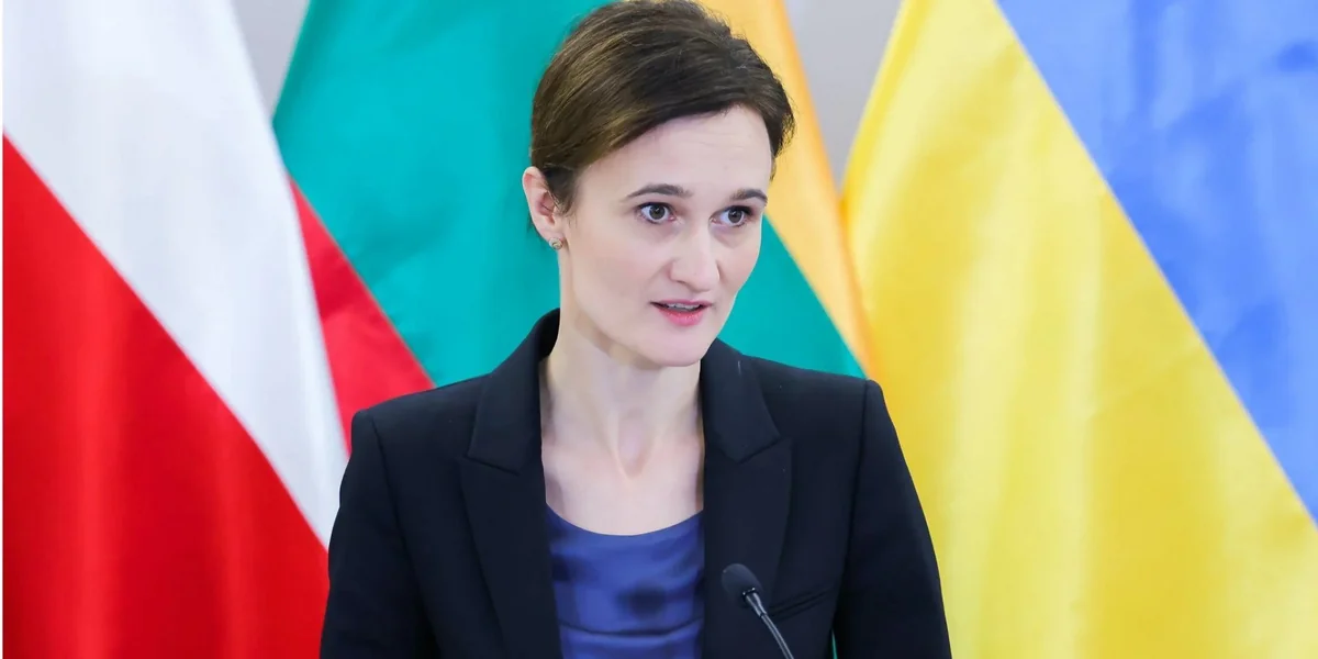Спикер сейма Литвы: парламенты стран НАТО видят Украину среди членов Альянса