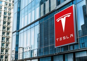 Tesla board starts looking for new CEO — WSJ 