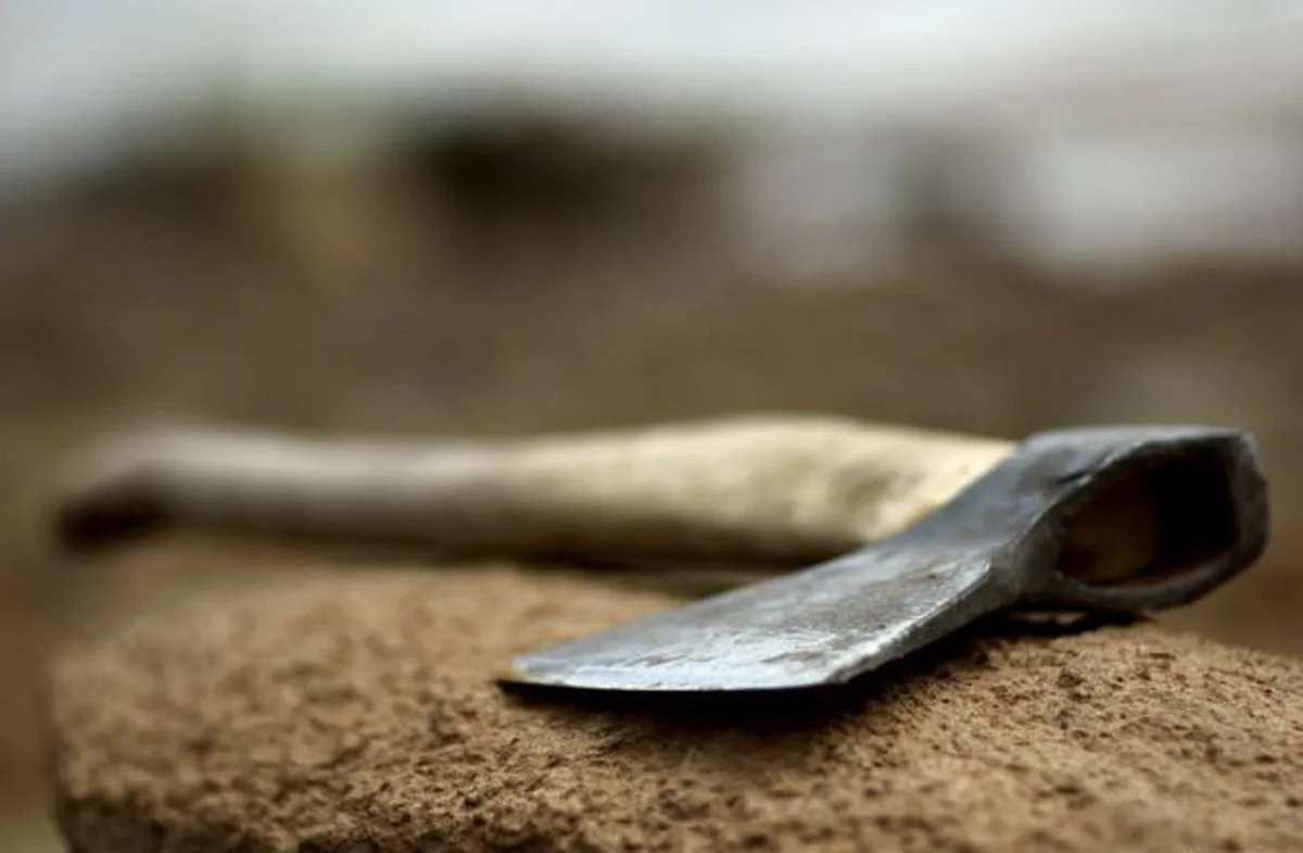 Daşkəsəndə ata-anasını baltalayan şəxsin cinayət işi məhkəməyə göndərilib