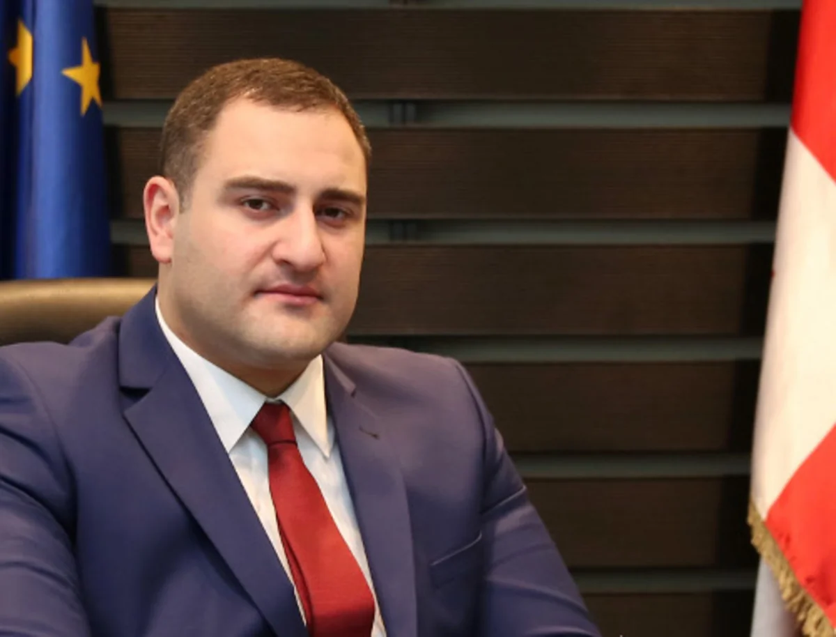 ​Gürcüstanın daxili işlər naziri istefa verib