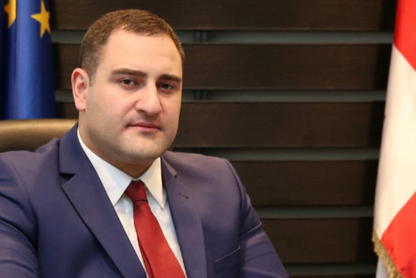 Министр внутренних дел Грузии подал в отставку