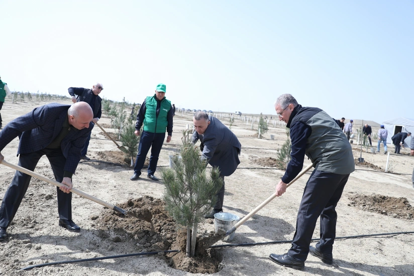Heydər Əliyevin 100 illik yubileyi ilə əlaqədar ağacəkmə aksiyası keçirilib
