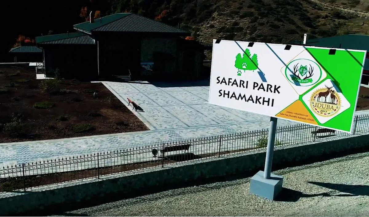 İnstruktor Elşən Bəxtiyarov: “Şamaxıdakı “Safari Park”a zubr gətiriləcək” - MÜSAHİBƏ - FOTO - VİDEO