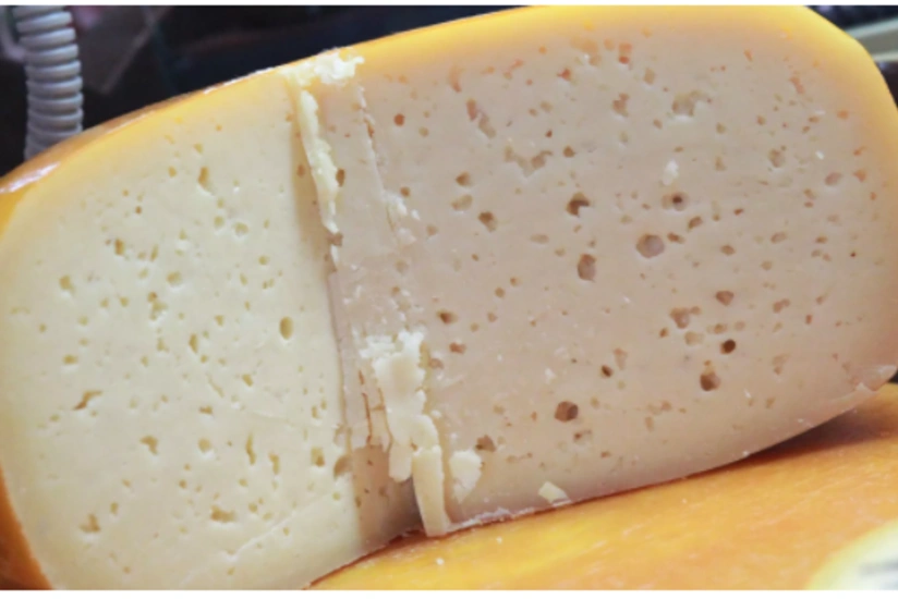 Russian nutritionist reveals danger of overeating cheese
