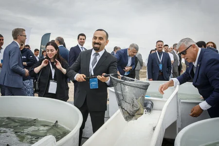 50,000 sturgeon released into the Caspian Sea by Azerbaijan fish farm to mark International Day for Biological Diversity
