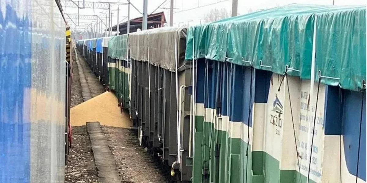 Polşada növbəti dəfə Ukraynaya məxsus taxılı yerə dağıdıblar
