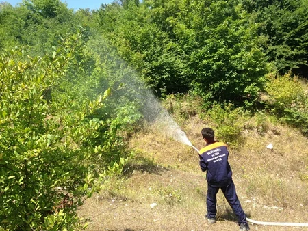 ​Azərbaycanda meşə yanğınlarının qarşısının alınması məqsədilə təlim-məşq keçirilib