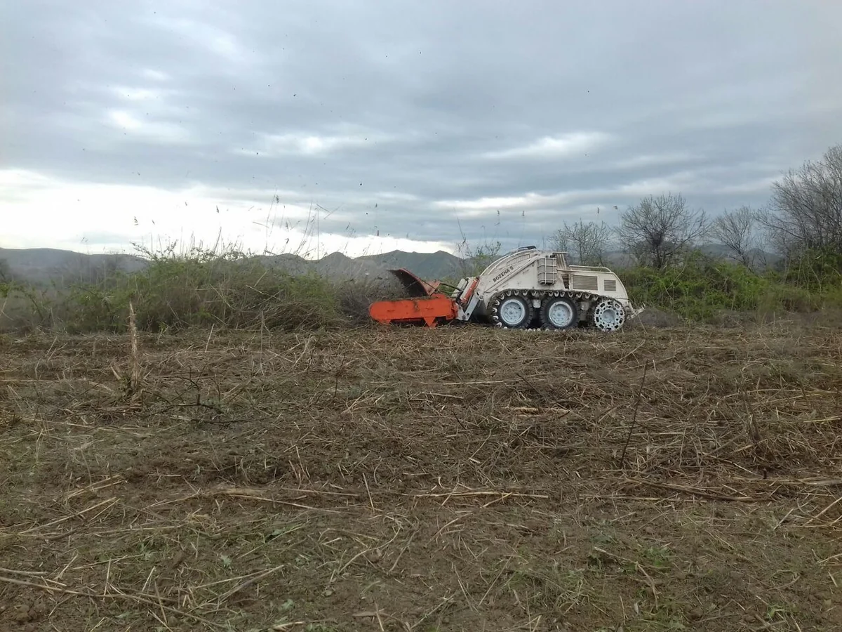 Cocuq Mərcanlıda gün ərzində 1037 ədəd qəlpə aşkar edilib