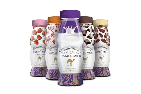 “Azəraqrar” BƏƏ-nin dəvəçiliklə bağlı təcrübəsini öyrənir