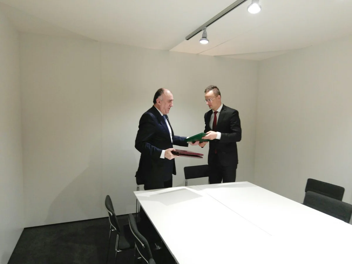 Elmar Mammadyarov meets with his Finnish counterpart