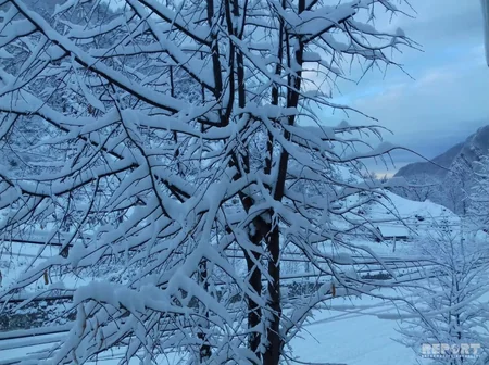 Qax rayonuna ilk qar yağıb - FOTOREPORTAJ
