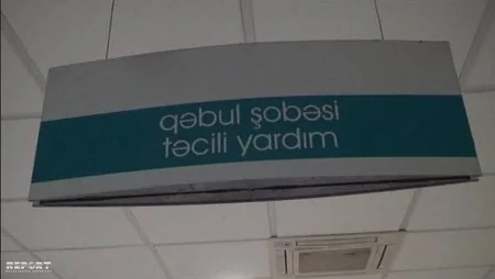 Cəlilabad rayonunda qadını ilan sancıb - FOTO