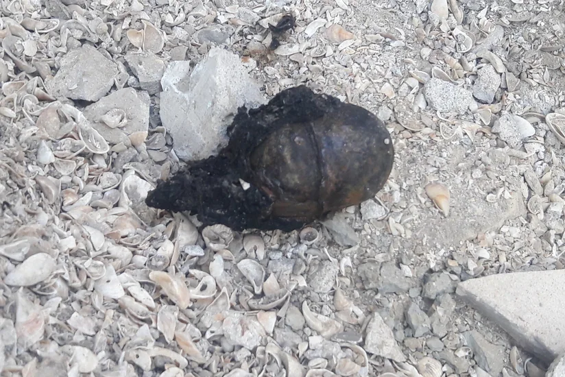 Nəsimi rayonunda əl qumbarası tapılıb