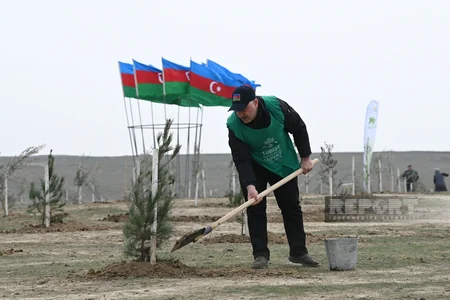 Проведена акция по высадке деревьев по случаю 100-летнего юбилея Гейдара Алиева