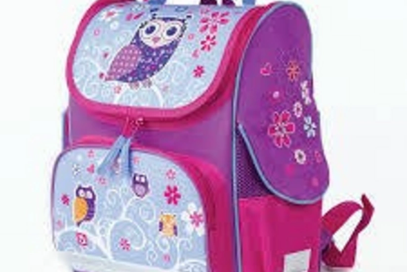 Как правильно выбирать портфель: или о том, почему у школьников такие тяжелые сумки - ВИДЕО