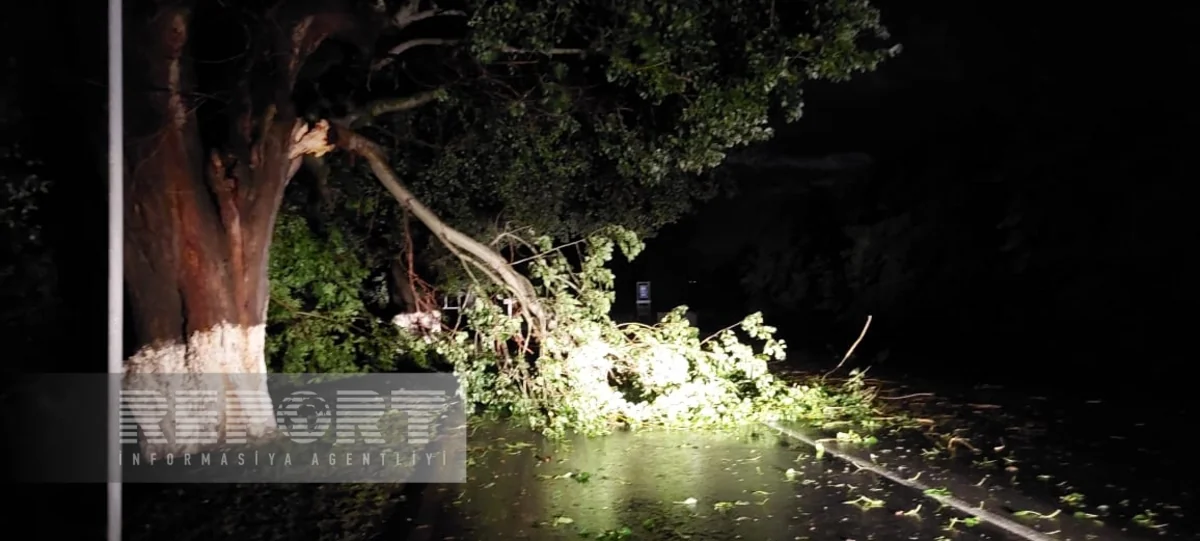 Qeyri-sabit hava şimal-qərb bölgəsində ciddi fəsadlar törədib - VİDEO