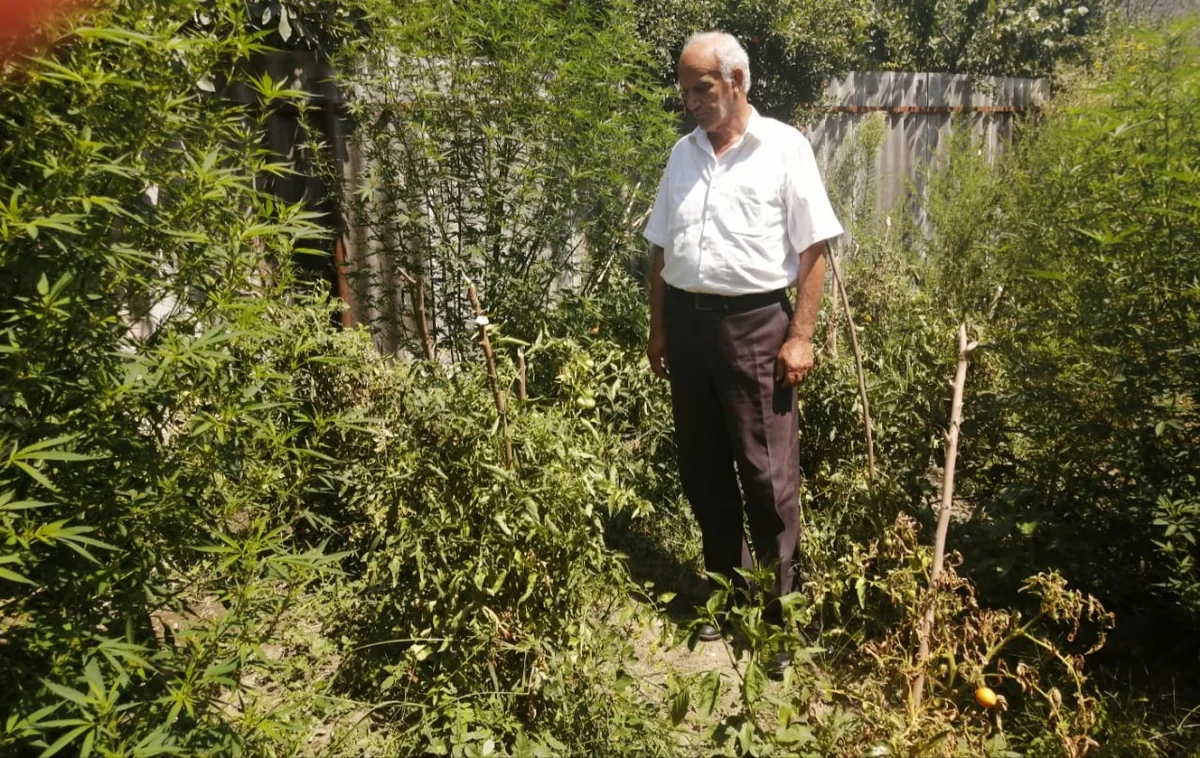 İsmayıllı sakininin evində 11 kq narkotik aşkarlanıb