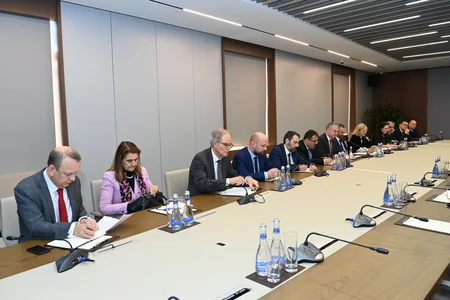 Azerbaijani FM meets EU special envoy