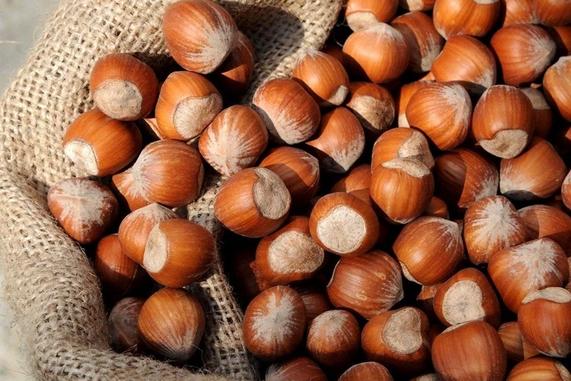 Азербайджан увеличил доходы от экспорта лесного ореха на 58%