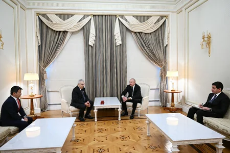 President awards Fatih Birol with Order of Friendship