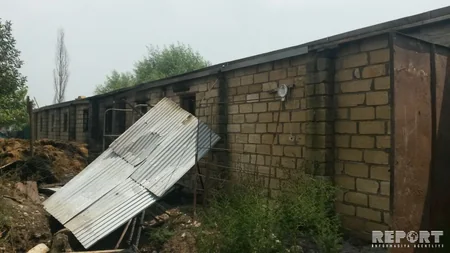 Ağcabədi rayonunda tövlə 20 baş heyvanla birgə yanıb - FOTO