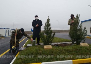 Türk və rus hərbçilər Birgə Monitorinq Mərkəzinin ərazisində ağac əkiblər