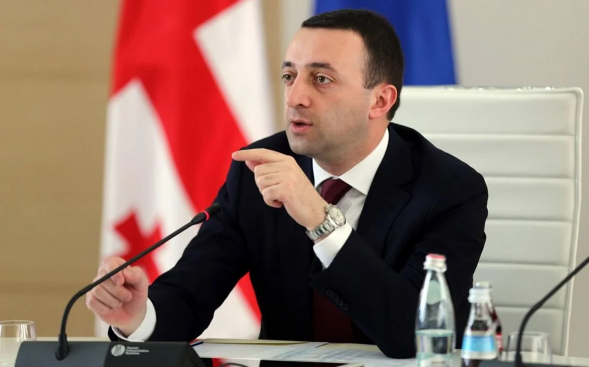 Gürcüstan 2024-cü ildə Aİ-yə üzvlük üçün rəsmi müraciət edəcək
