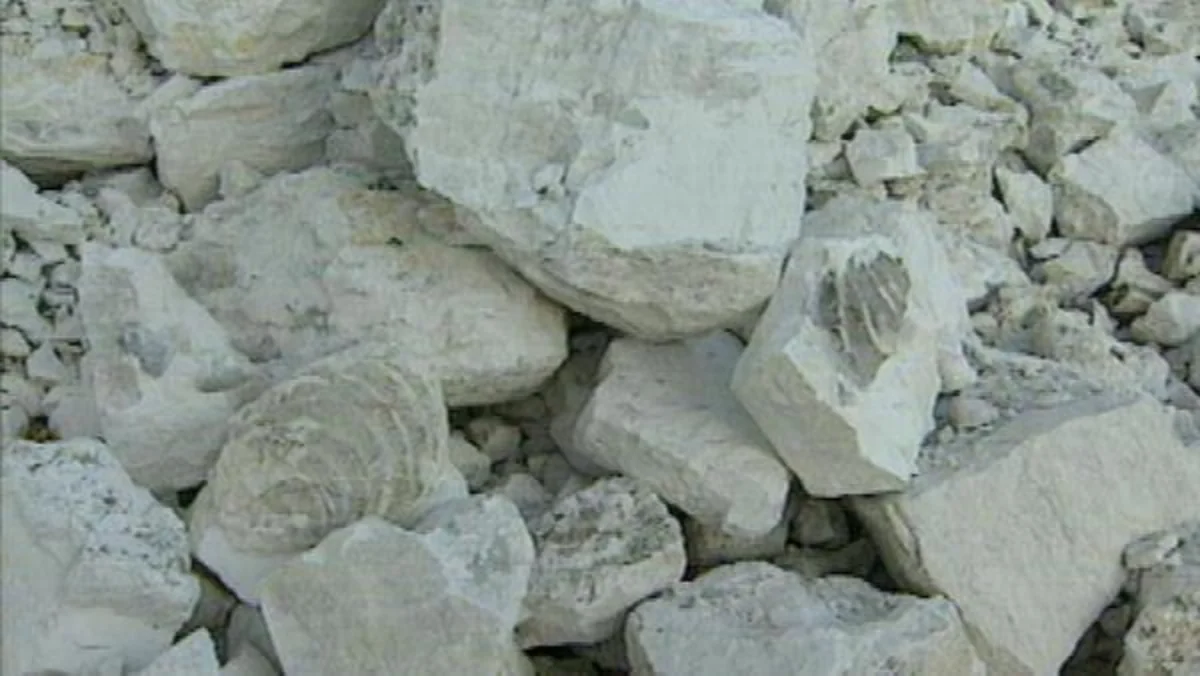 Azerbaijan resumes imports of Austrian lime