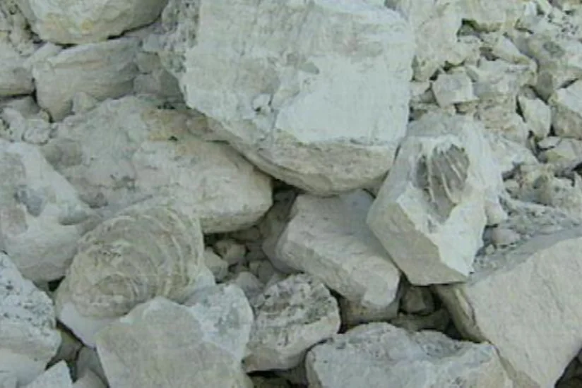 Azerbaijan resumes imports of Austrian lime