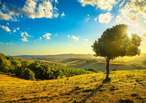 24 degrees of heat predicted tomorrow in Baku