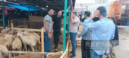 Paytaxt sakinləri qurban kəsir
