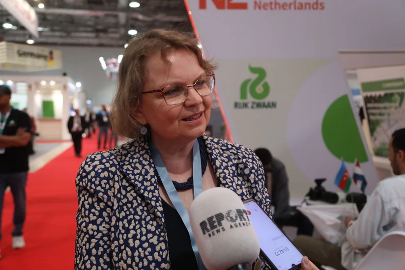 Niderland şirkətlərinin Azərbaycanda maraq göstərdiyi sahələr açıqlanıb
