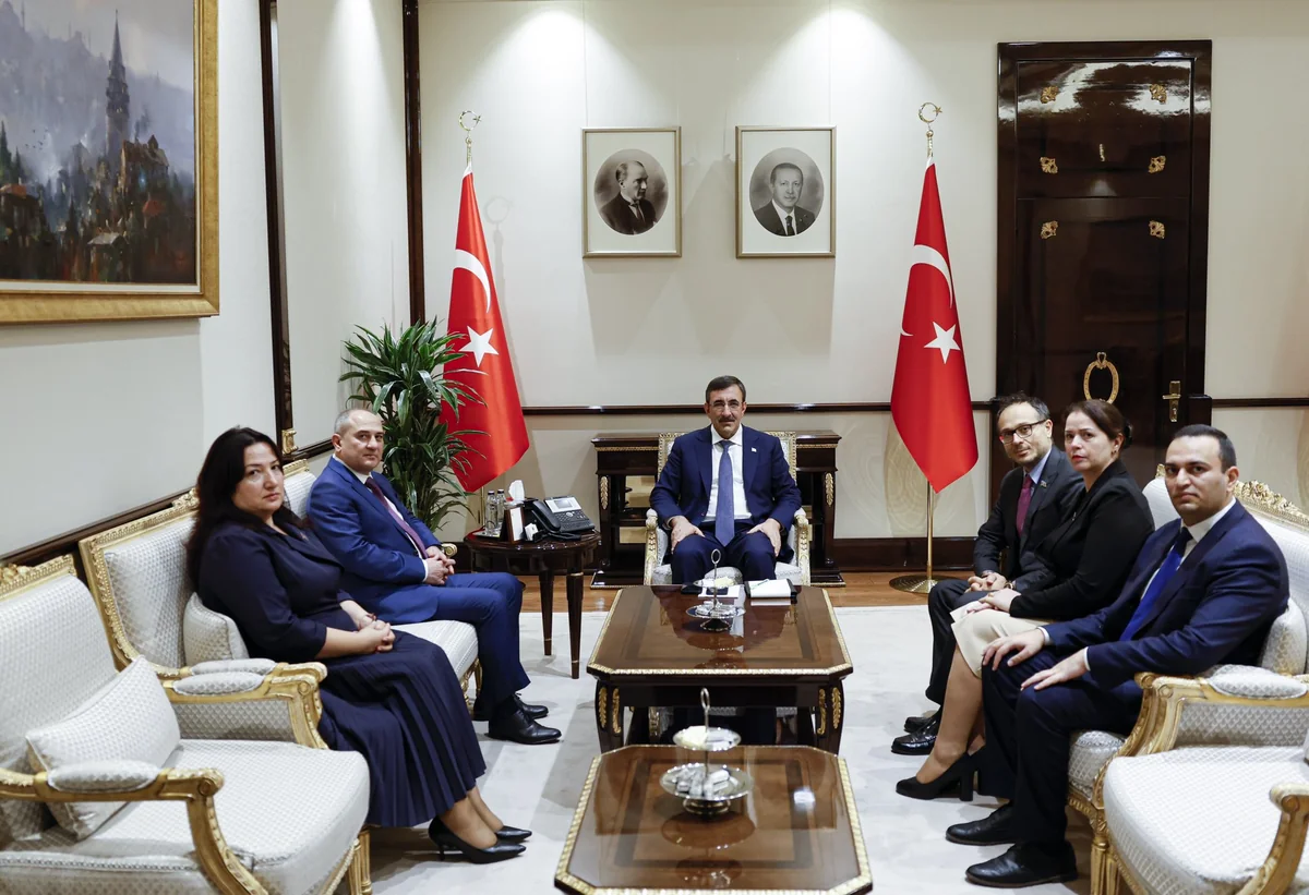 Türkiyənin vitse-prezidenti YAP nümayəndə heyətini qəbul edib