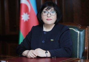 Milli Məclisin sədri Azərbaycanın bir sıra ölkələrdəki səfirləri ilə görüşüb