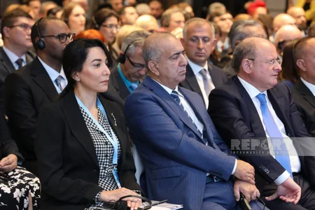 Bakıda itkin düşmüş şəxslərlə bağlı beynəlxalq konfrans keçirilir - YENİLƏNİB