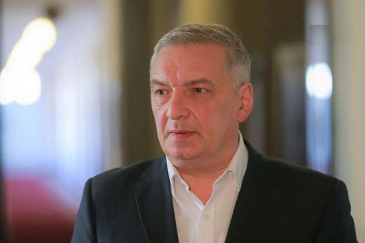 Gia Volski: Gürcüstanın regionda təhlükəsizliyi təmin etmək potensialı var