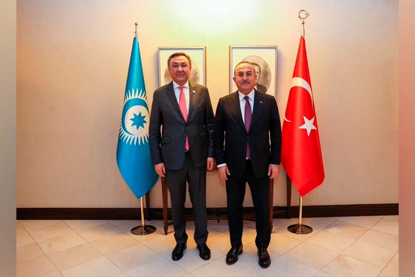 TDT-nin rəhbəri Türkiyənin XİN başçısı ilə görüşüb