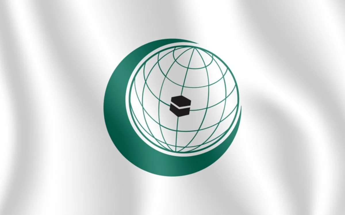 OIC condemns illegal exploitation of natural resources in Karabakh region of Azerbaijan 